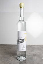 Goutte de Reine Claude dorée 2024