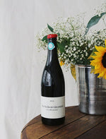 Nuits Saint Georges Les Damodes vin naturel rouge 2016 Domaine de Chassorney Frederic Cossard