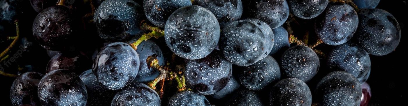 🏆 TOP 5 🏆 Cabernet sauvignon : globe-trotter, séducteur, vin d’honneur