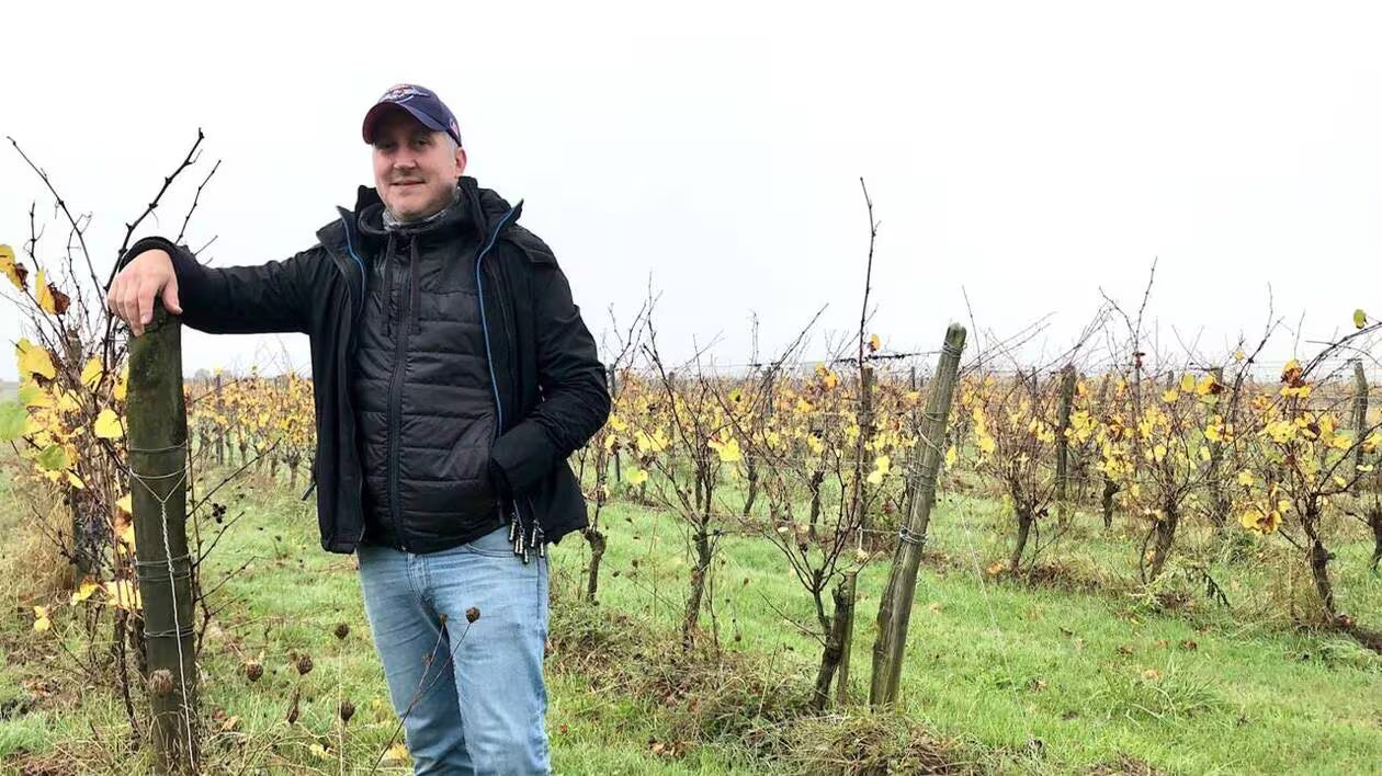 Les Vignes du Fresche