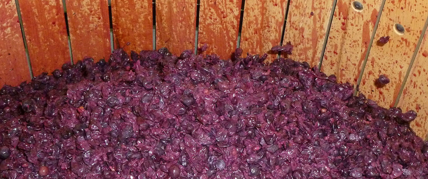 Producteur : Château Les Graves de Viaud