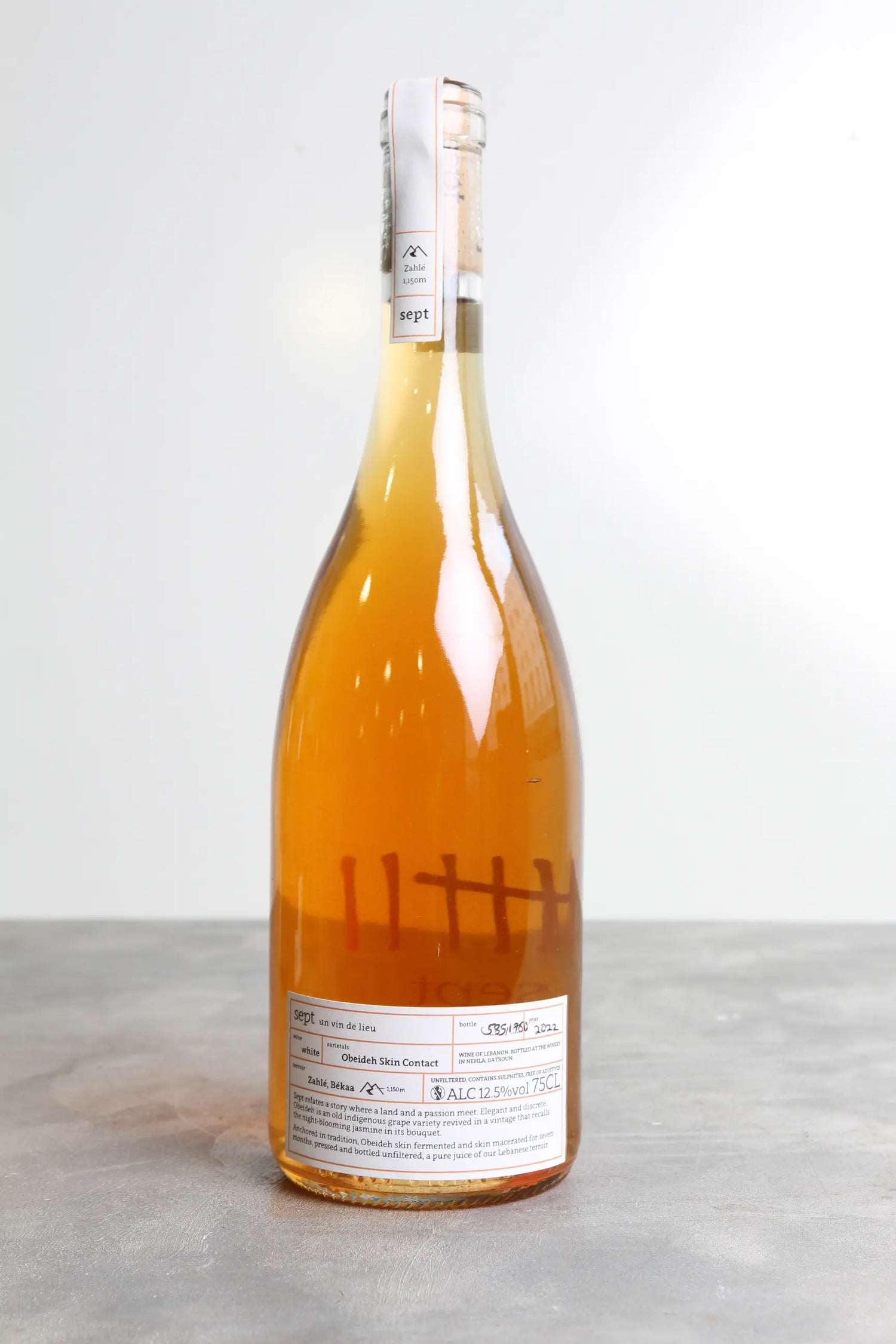 Obeideh Skin Contact 2022