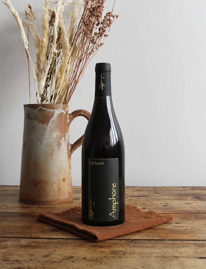 Amphore vin rouge 2016 domaine de l octavin alice bouvot 1