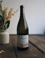 Bigotes Frederic Crossard 1