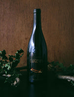 Charme naturel blanc 2016 Jean Pierre Robinot Les Vignes de l Ange Vin 1