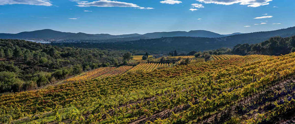 Clos des B