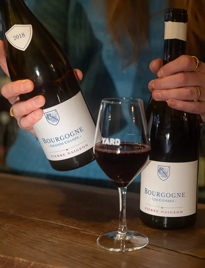 Domaine les Astrelles Grands Champs rouge 2018