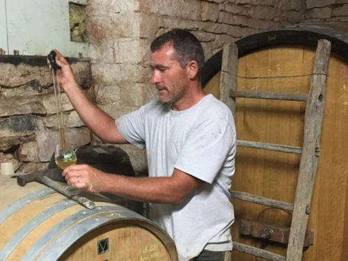 Domaine Sauveterre