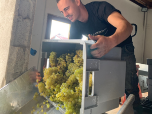 Dégustation Alsace Nature