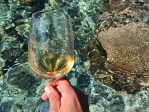 Dégustation : La fraicheur dans le vin