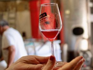 Dégustation : Ta mère boit du vin nat'