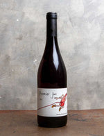 Fond cypres Fond 1er Jus 2021 1