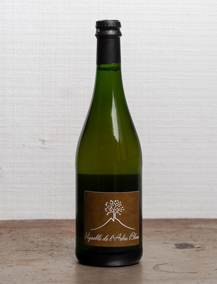 Ma' Carotte Blanc 2020