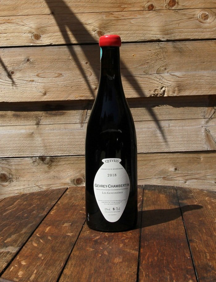 Gevrey Chambertin Les Genevrieres Qvevris vin naturel rouge 2018 Domaine de Chassorney Frederic Cossard 2 scaled 1