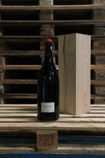 Morey Saint Denis les Champs de la Vigne 2017