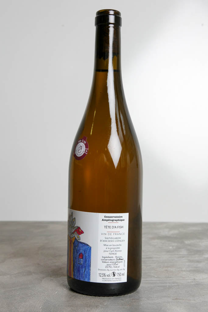 Tête D'a Fish Blanc 2024