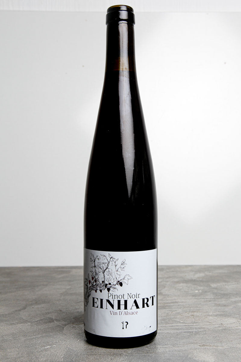 Pinot Noir Rosso 2025