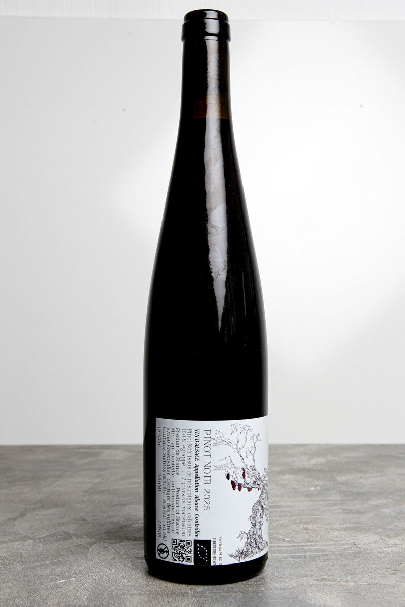 Pinot Noir Rosso 2025