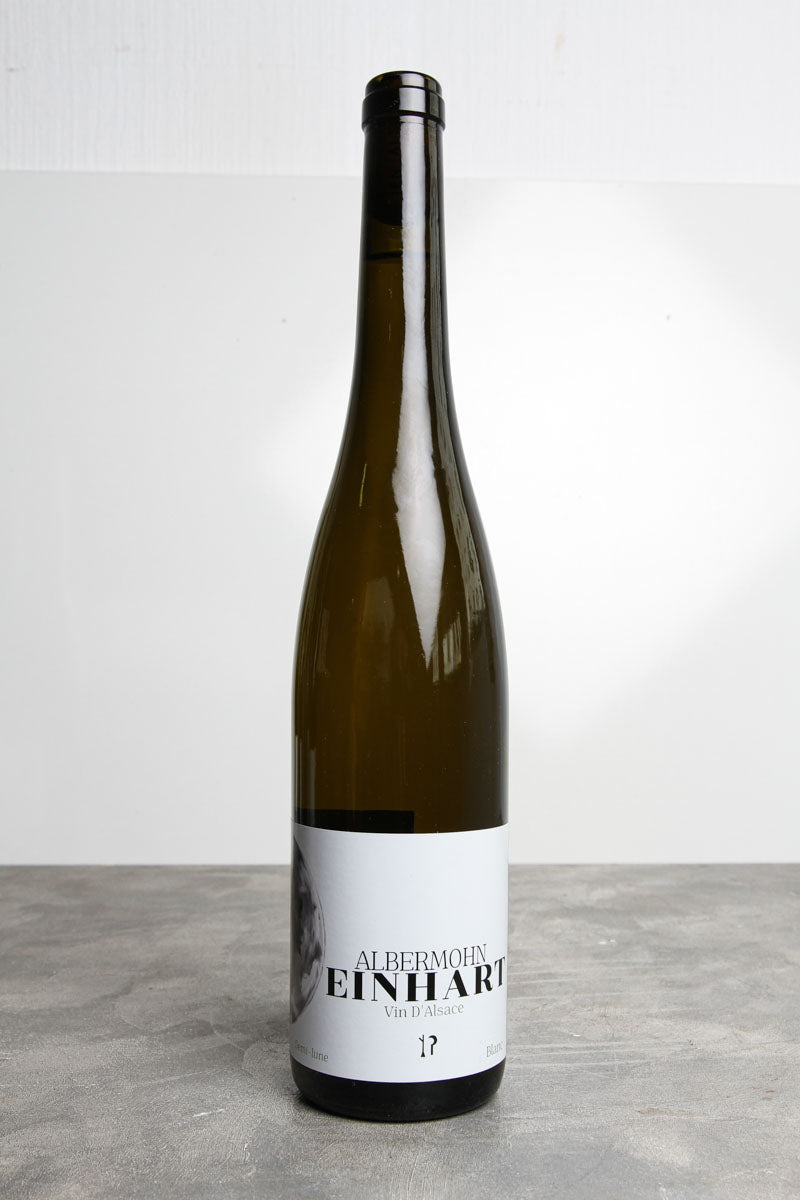 Albermohn Bianco 2024