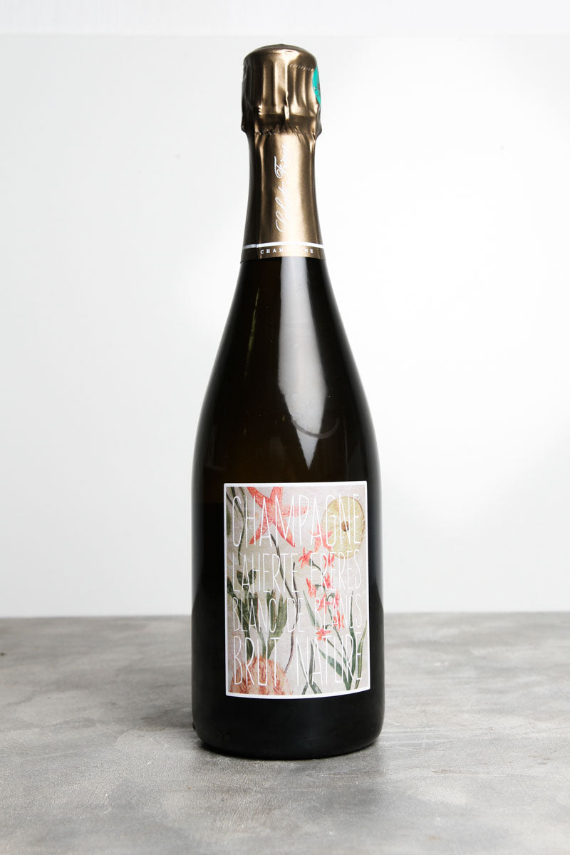 Blanc de Blancs Brut Nature Champagne