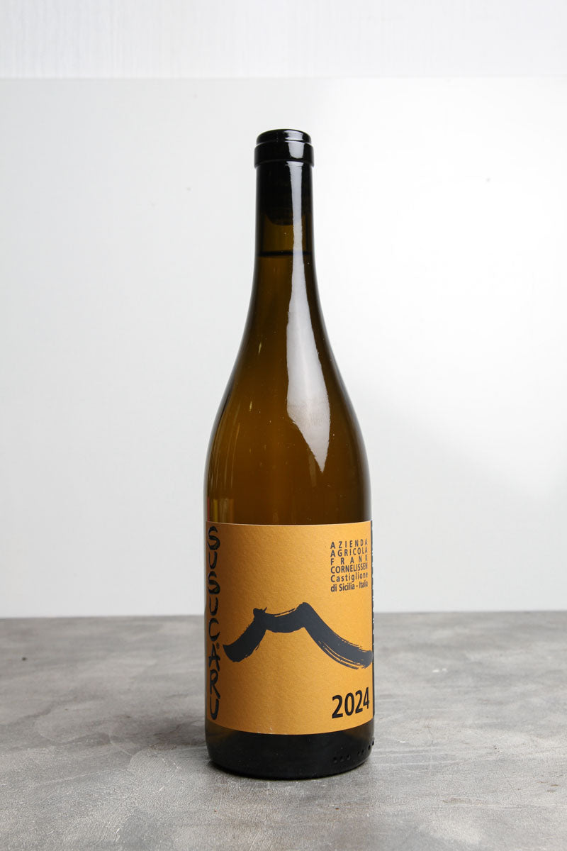 Susucaru bianco bianco 2024