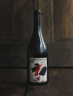 Juliette Robinot vin naturel blanc jean pierre robinot 1