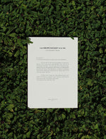 Les soeurs Hacquet et le Vin une epopee nature 2