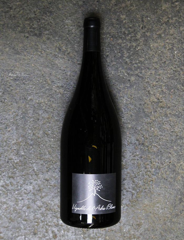 Magnum Les Petites Orgues vin naturel rouge 2016 Frederic Gounan Vignoble de l Arbre blanc 1