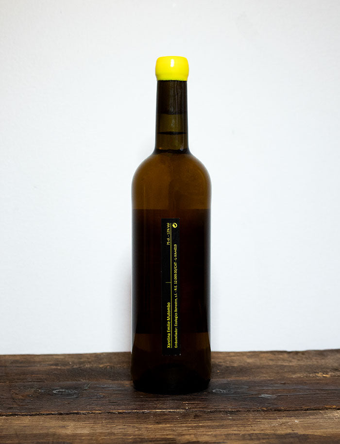 Magnum Xarelina vin blanc 2019 Emilie Mutombo 2