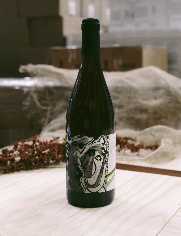 Nyctalopie vin naturel rouge 2017 Domaine Daniel Sage 1