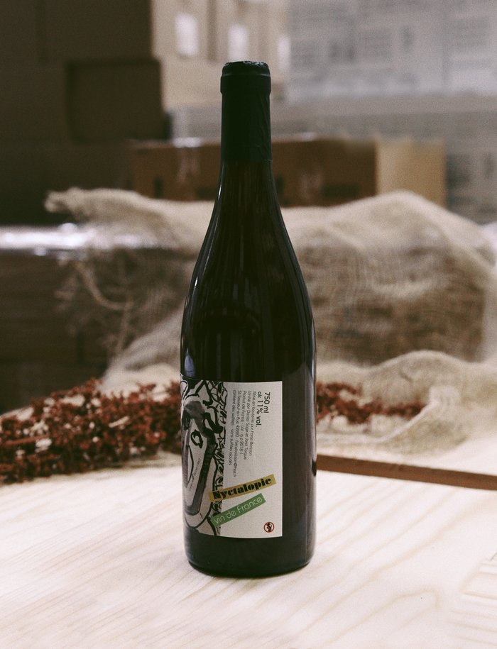 Nyctalopie vin naturel rouge 2017 Domaine Daniel Sage 2