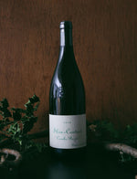 Skin Contact Combe Bazin vin naturel blanc 2016 Domaine de Chassorney Frederic Cossard 1