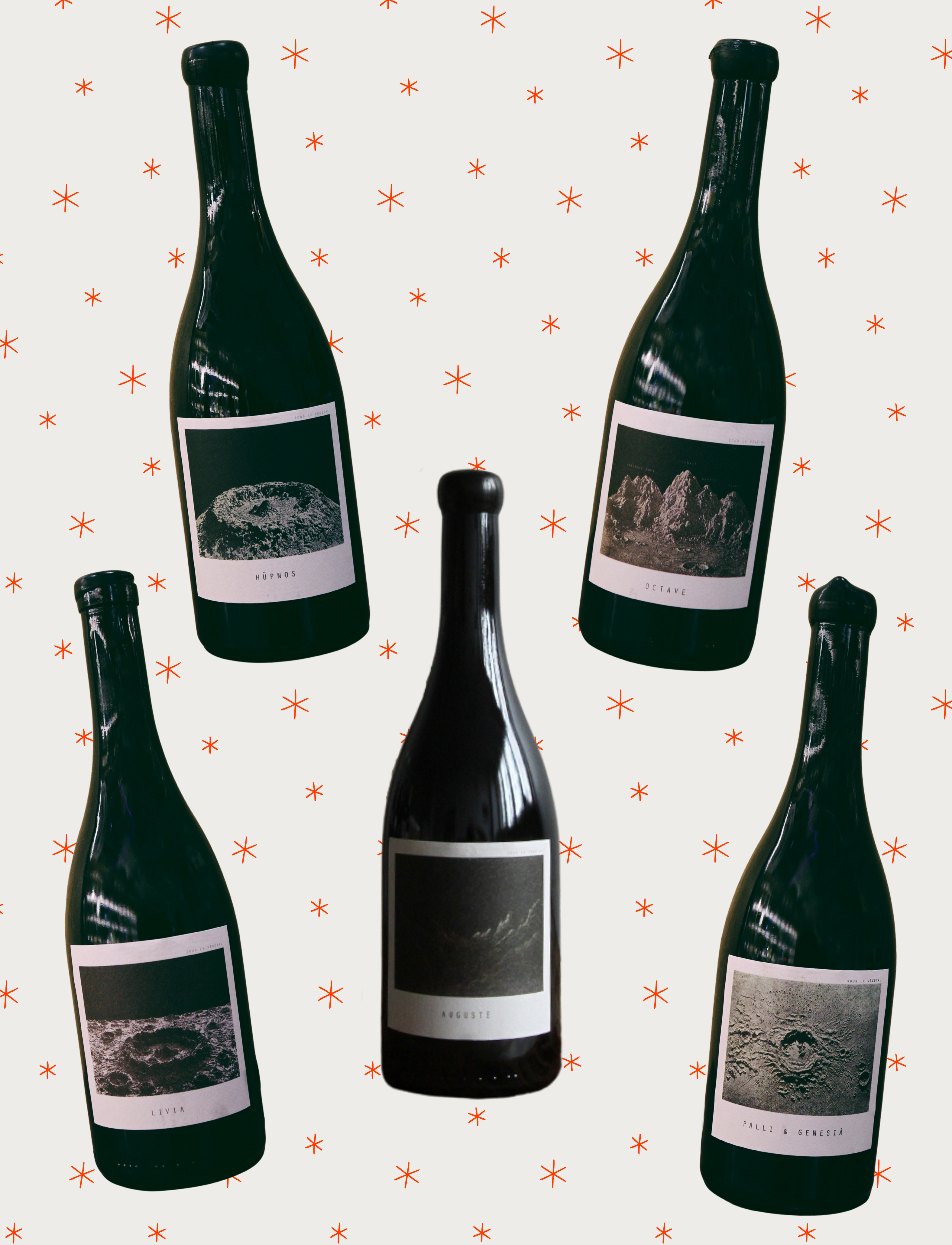 Sous le Végétal - Le Best of