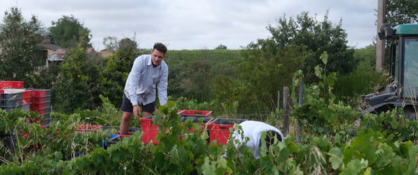 Domaine Bois Moisset