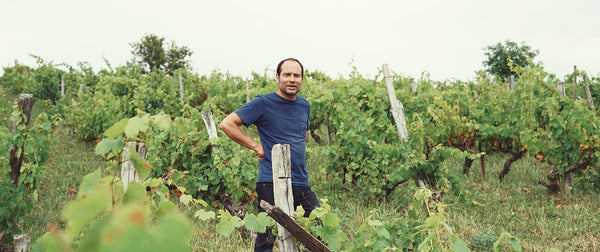 Domaine La Bohème