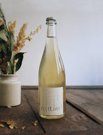 festejar vin naturel blanc petillant 2008 patrick bouju 1