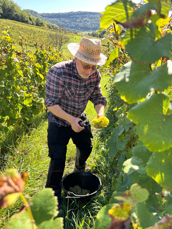 Domaine Philippe Chatillon