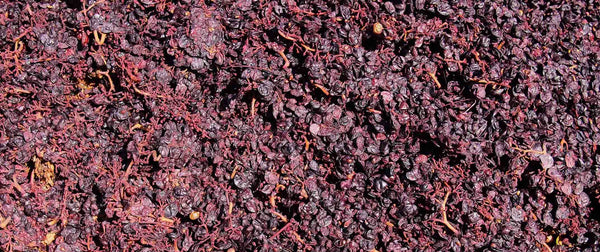 Domaine Pic Epeiche