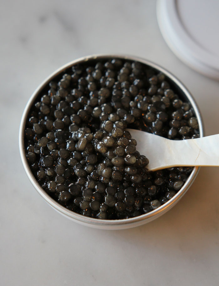 Oeufs de saumon de fontaine - Caviar de l'Isle