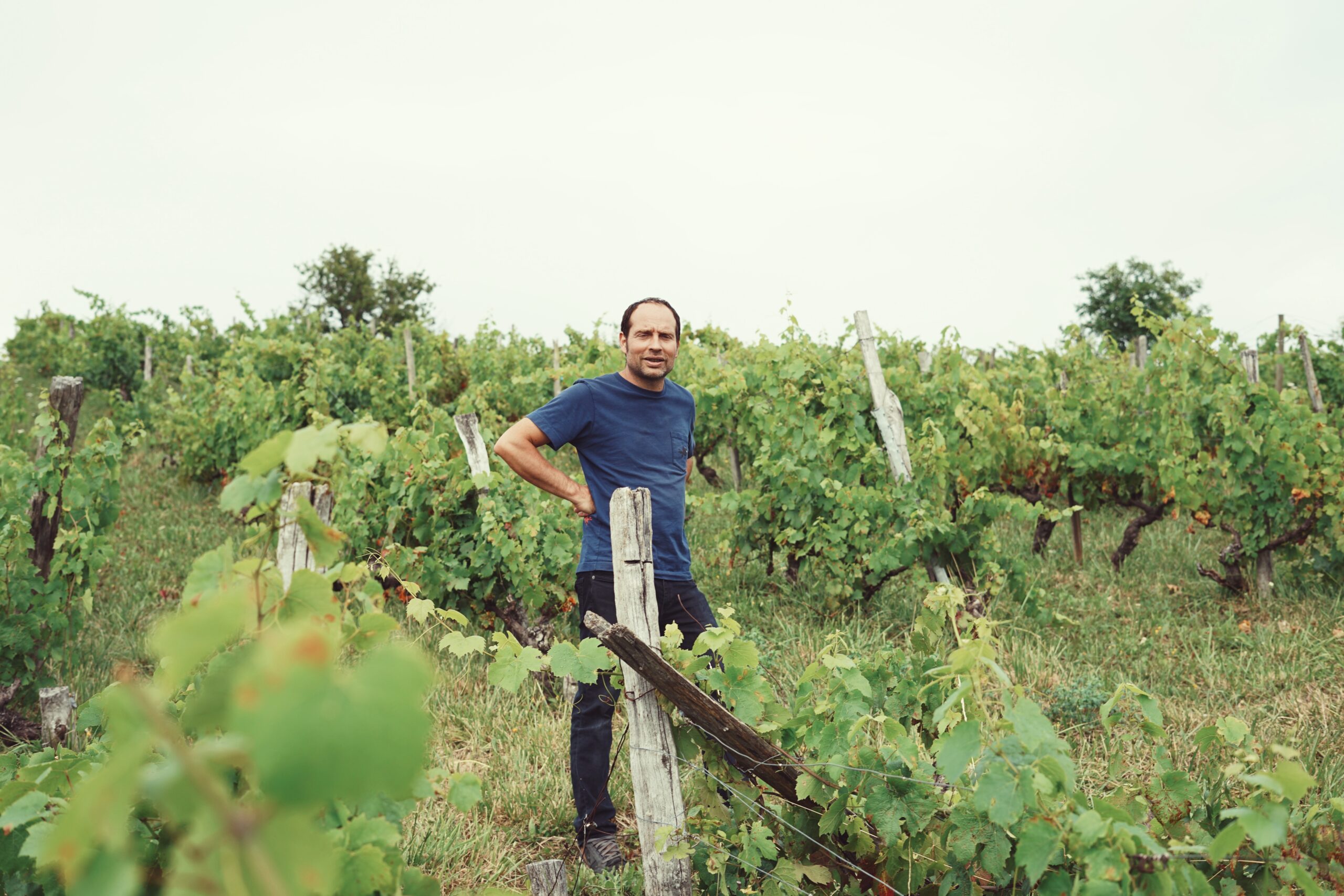 Foire aux vins mars 2024