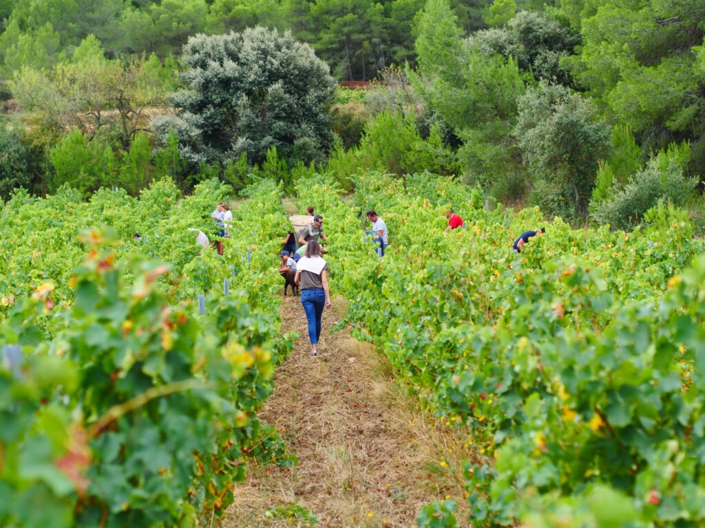 Foire aux vins mars 2024