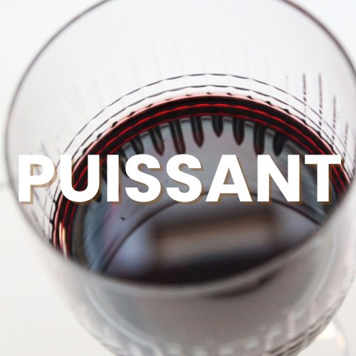 Nos vins puissants et tanniques